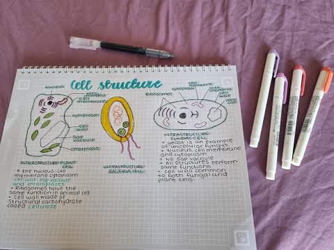 Study with me