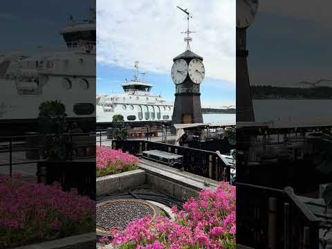 Oslo 🇳🇴 Norway #travel #oslo #norway #norwegian #europe #shorts #shortsvideo