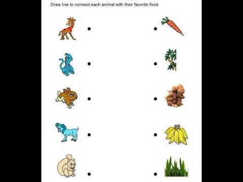 Worksheets for kindergarten
