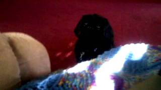 VID-February 27, 2012 part 3