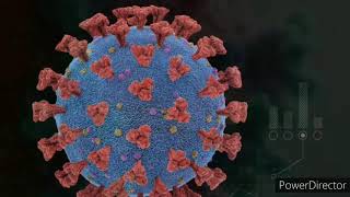 Drug target for COVID-19