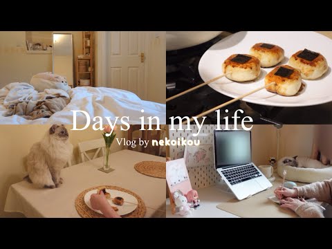 Days in my life vlog ~ making Demon Slayer potato mochi, lo-fi study with me, ragdoll cat company