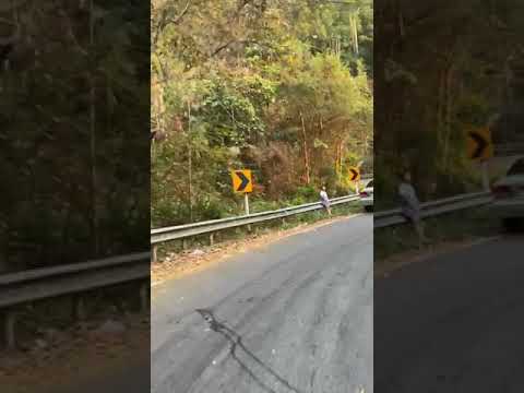 Old car can't make it up 7 พับ (Samoeng)
