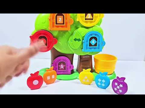 Explore Animals & Puzzles | Farm and Jungle Learning Fun