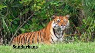 The most beautiful places in Bangladesh / Top attractive natural tourist place in Bangladesh