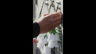 Man arrested and charged with arson over horrific Wellington fire