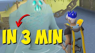 Tempoross in 3 minutes (Quick Guide)