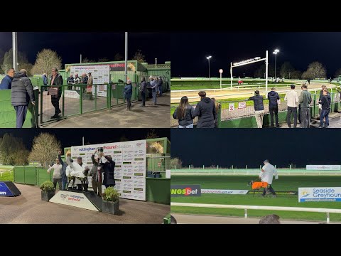Back at the greyhounds 🐶 | Day At The Races