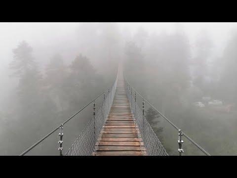 The Point and Path