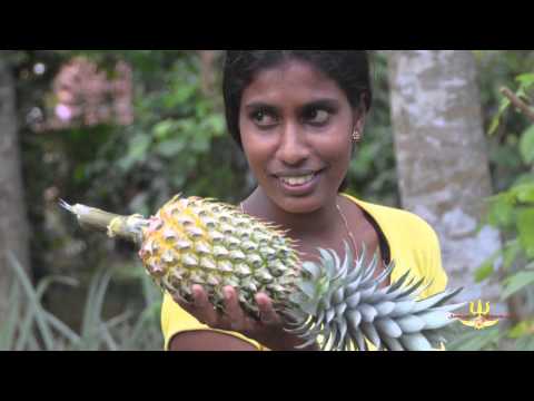 NONA Foundation - Nimal van Oort