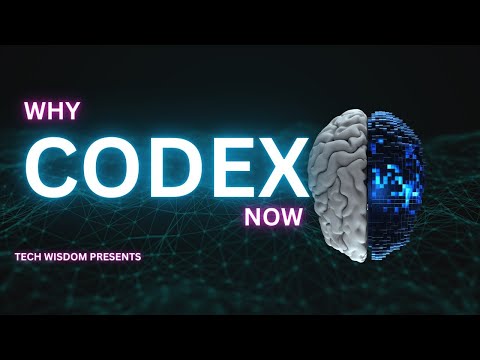 Google AlphaCode vs OpenAI Codex | WHY Codex released preview Version