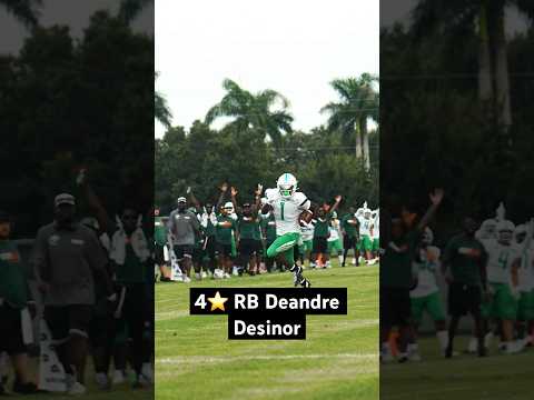 4⭐️ RunningBack Deandre Desinor first Touchdown of the season #football #247sports #hsfb