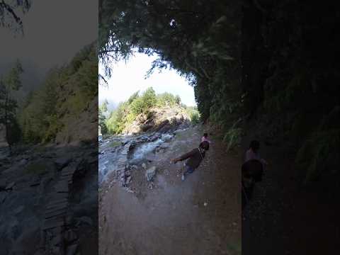 #harsilvalley#uttrakhand #ytshorts#travel#mountains#lov#mountains
