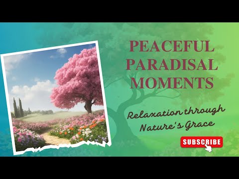 Enchanted Landscapes: Relaxation with Nature's Beauty and Music