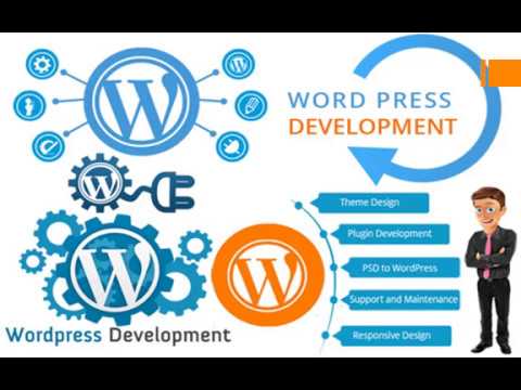 WordPress Development Company