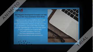 How Magento Development Company can Help You to Run Your eCommerce Store Better