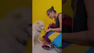 Sofia Ansari tik tok video, Sofia Ansari Instagram reels, Sofia Ansari Insta Reels videos
