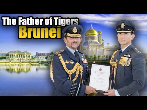 Inside the Lavish Lifestyle of Brunei's Prince Mateen The Father of Tigers