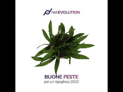 Buone Feste da netEvolution. E da Tina