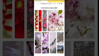 The Secrets of CSS Flexbox Revealed: Building Beautiful Galleries