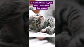 Inventory Manager? Or cat herder?