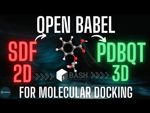 SDF to PDBQT in Minutes! | 2D to 3D Ligand Prep for AutoDock4 Molecular Docking!