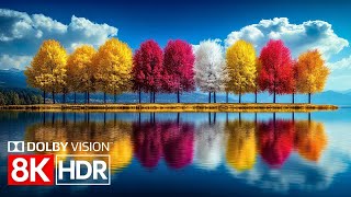 Nature in Ultra Color – 8K HDR Dolby Vision (8K 60fps Video)