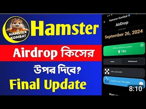 Hamstar final update এ কাজগুলো না করলে মিস করবেন✔✔✔
