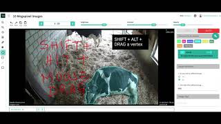 TrainingData.io: Move a polygon