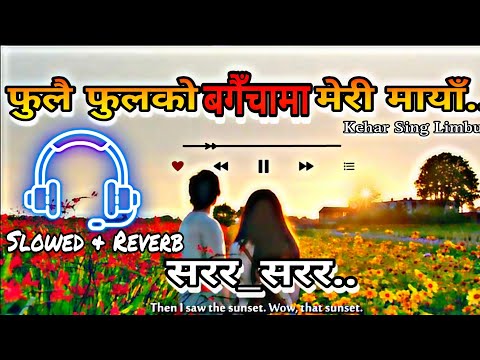 Kehar Sing Limbu :- Sarara Sarara 💐🥰 Lyrics 🥰 fulai fulko bagaicha ma meri maya || Nepali Song