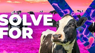 Solve for X: Innovations to Change the World - Compounding the cure - S3-E7