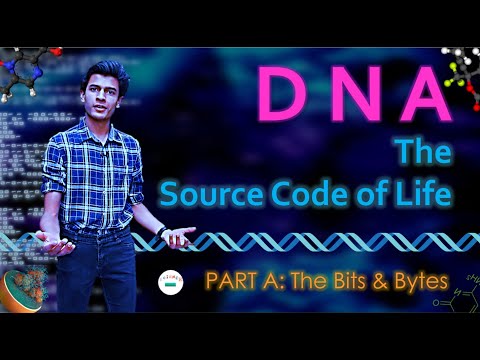 DNA: The Source Code of Life | PART A - The Bits & Bytes