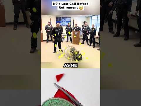 K9's Heartwarming Surprise from Officers!