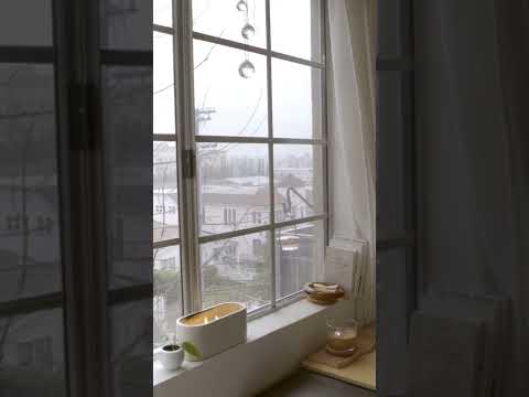 winter fog & cozy #lofibeats