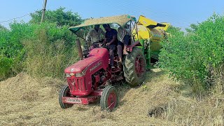 "Transform Your Harvest: Mahindra Tractor vs. Surjeet Thresher – The Ultimate Paddy Revolution!"