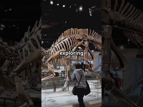 Dinosaurs: The Giants of the Past!