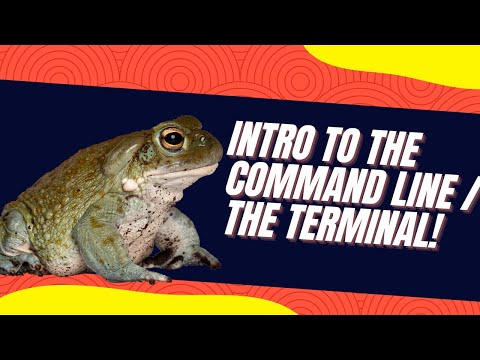 How to Use the Terminal on Both Mac and Windows - Intro to the Command Line