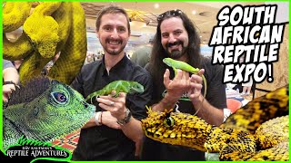 WHAT'S A REPTILE EXPO LIKE IN SOUTH AFRICA?