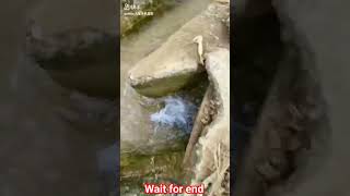 #shorts #short #shortvideo #youtubeshorts #funny#iphone  #comedy #video  funny iPhone video