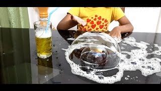 BUBBLE IN BUBBLE- Science Experiment #1