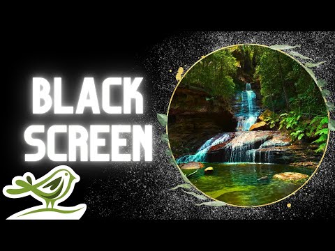 [NO ADS] Moonlight | 12 Hours of Deep & Relaxing Sleep Music with Black Screen