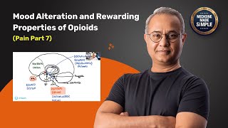 How Opioids Hijack Your Brain’s Reward System 🧠 | Neuroscience Explained