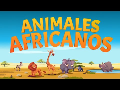 Hechos sobre los animales africanos | Aprende animales salvajes para niños | Videos educativos