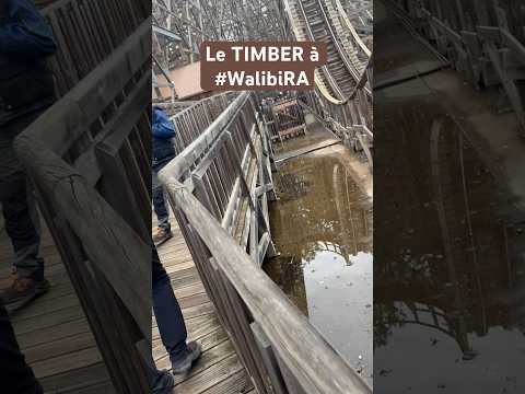 Le TIMBER à #WalibiRA
