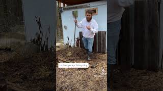 Chickens can save the planet #chicken #backyardchickens #savetheplanet #greenhousegas