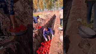 #shorts #agritools #farming2024 #agriculture  #JIKreactionagritools in farming 2024