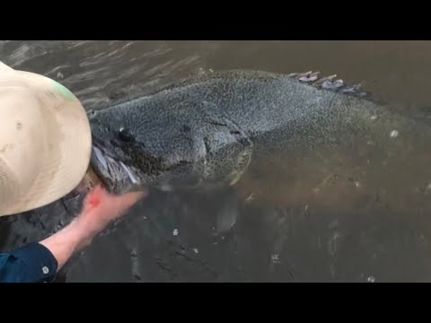 2022 cod recap