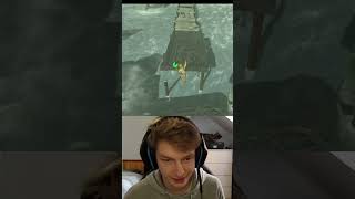 Breath of the Wild’s most talented puzzle solver