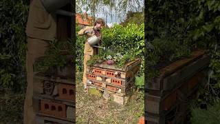 DIY Garden Projects for Biodiversity and Abundance! 🌱🌸🐝 #gardening #biodiversity #gardeningtips