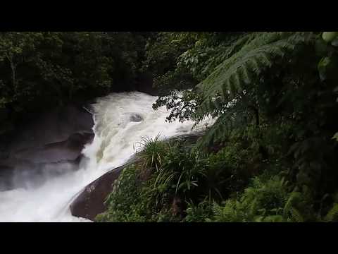 20180309_110712.mp4